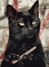 sticker_362611063_22