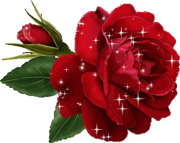 sticker_15530232_47511892