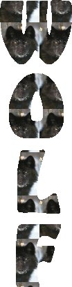 sticker_18943768_28343811