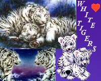sticker_20385820_33447808