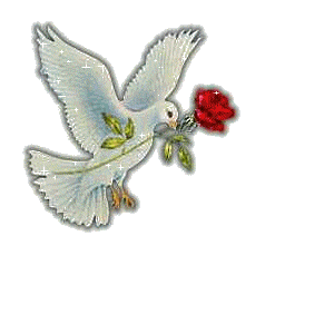sticker_24171416_40242456