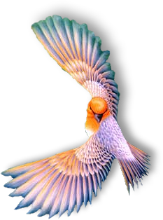 Abziehbild_16316479_41876056