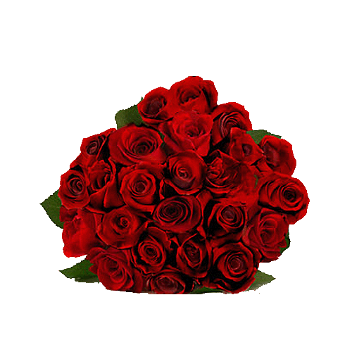 sticker_24274677_40480595