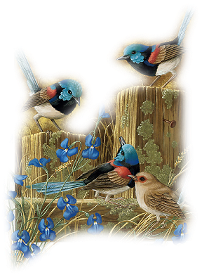 stiker_9924140_18517611