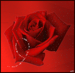 sticker_7793475_9867320