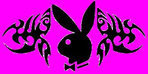 sticker_14307566_20405300