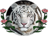 sticker_8520772_13911740