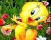 sticker_16327937_24174102