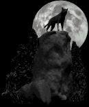 sticker_29615269_40286275