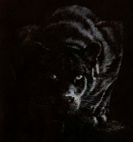 sticker_19078732_30681040