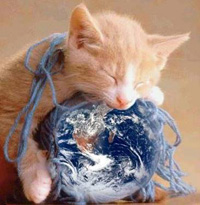 Sticker_5275737_8148576