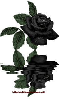 [stíc~kér_11254891_24623589]