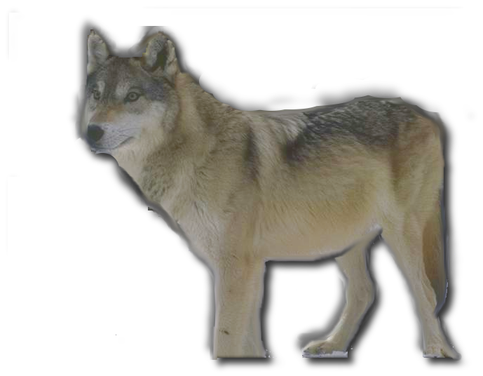 Etiqueta_4750776_7389084