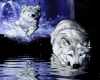 sticker_54754222_3