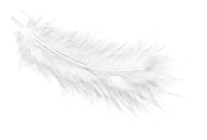 adesivo_370564081_74