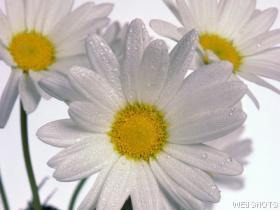 sticker_1735565_2046007