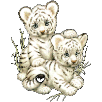 sticker_40380131_22