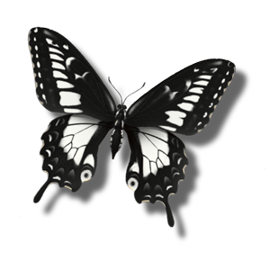 Etiqueta_297256770_1