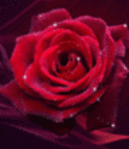 Abziehbild_69341250_9