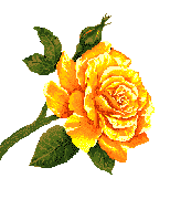 sticker_52329970_66