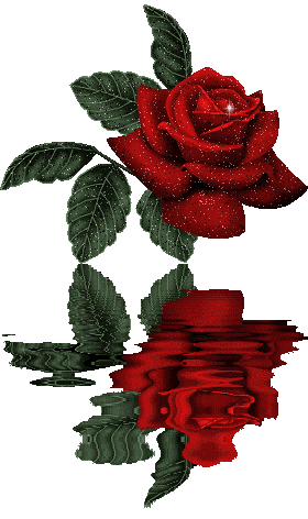 sticker_20160634_38311912
