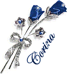 adesivo_33081211_46915302