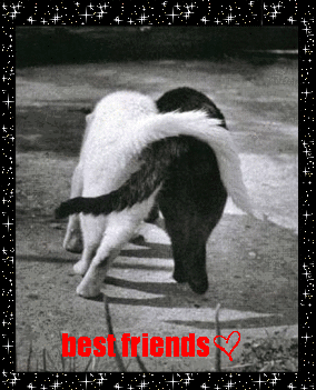 sticker_22537159_41557524