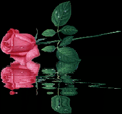 adesivo_369960972_74