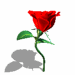 sticker_12667024_22418447