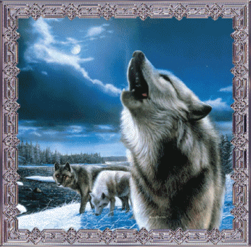 sticker_14615887_22615408