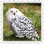 sticker_333105040_2