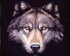 sticker_23750004_33717465