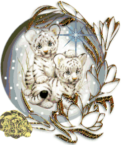 sticker_12799892_20609304