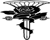 adesivo_80825754_6