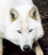 sticker_9195129_47422408