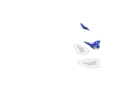 adesivo_177256065_13