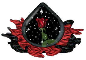 adesivo_5138410_15960220