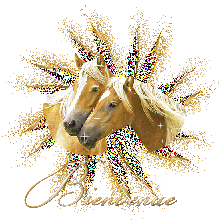 sticker_24923953_47445244