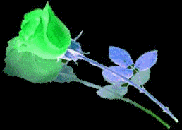 sticker_202786529_33