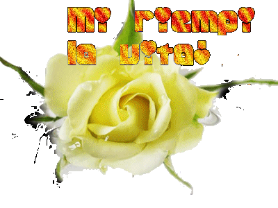 sticker_12715779_24156788