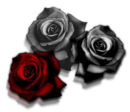 Sticker_121309436_4