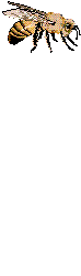 naklejka_22872105_34560364