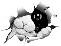 Abziehbild_76044066_400