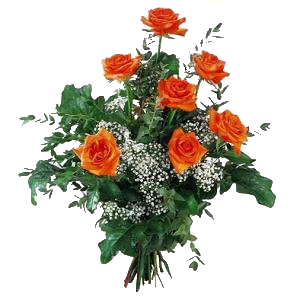 sticker_13701938_19626197