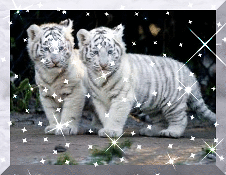 sticker_27458501_38573824