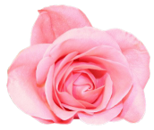 sticker_966878_32976884
