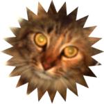 Sticker_2016259_4089243