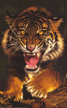 sticker_7562141_11460162