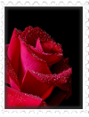 sticker_37077675_58