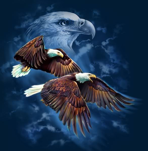 sticker_29736591_47486655